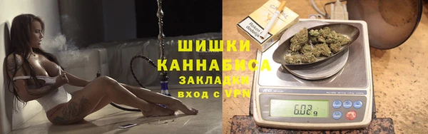 амф Аркадак