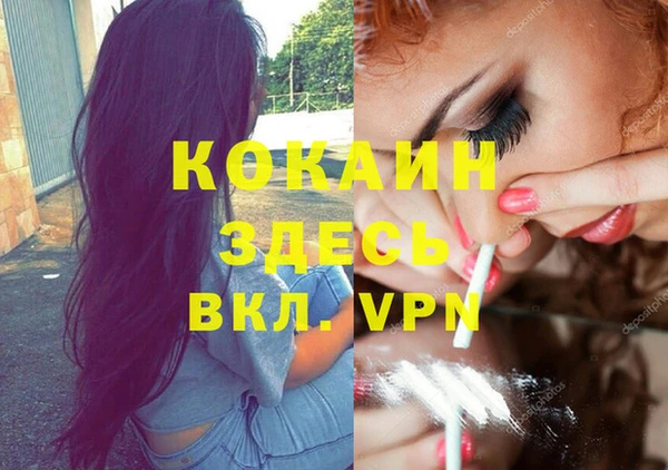 амф Аркадак