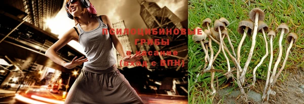 амф Аркадак