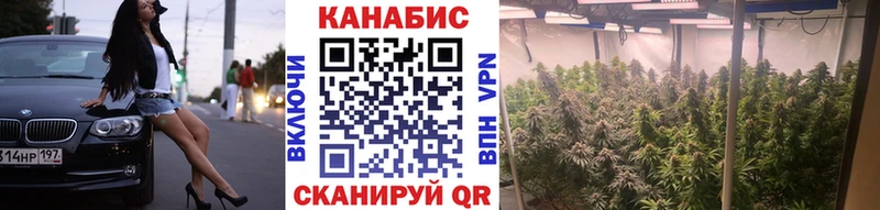купить наркотики цена  Белово  Бошки марихуана марихуана 
